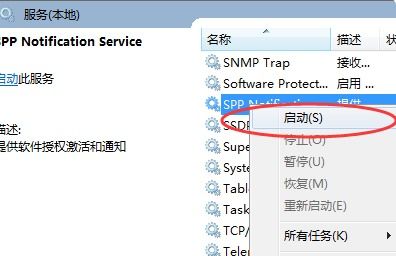 Windows 軟件保護服務詳解及其與網頁、網站設計的潛在關聯